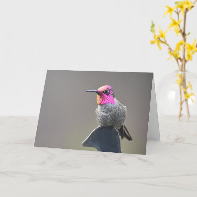 Bright Hummingbird - Frameable Art Card (Yellow Flower)