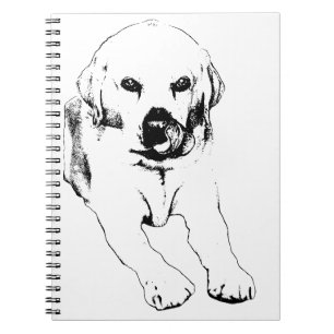 Bright ideas with a Lab Notebook