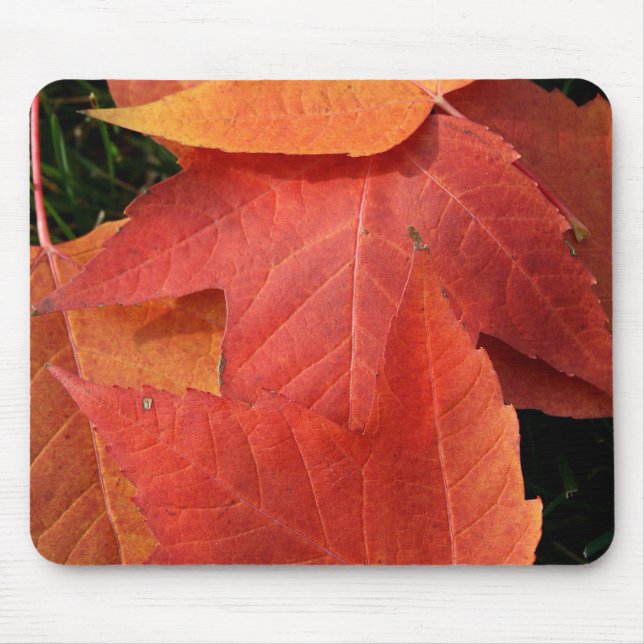 Bright Leaves Mouse Pad (Front)