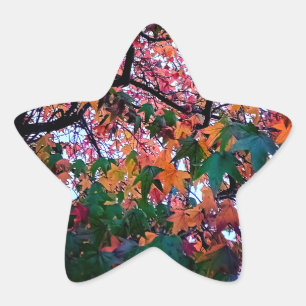 Bright leaves star sticker