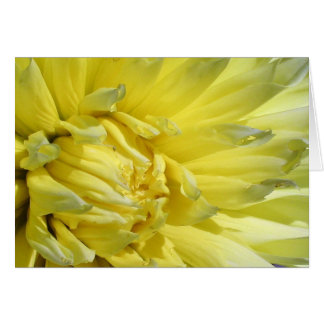 Bright, Lemon Yellow Dahlia