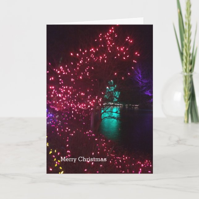 Bright Lights in a Botanical Garden Holiday Card (Front)