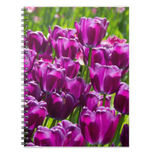 Bright lilac tulips on a sunny day notebook