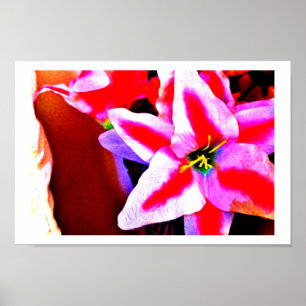 Bright Lily Poster