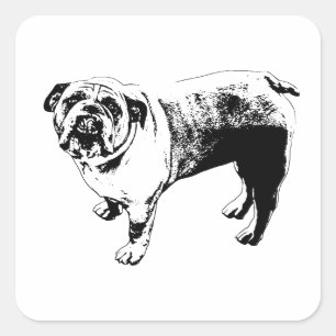 Bright Mark, Upward Gaze Square Sticker