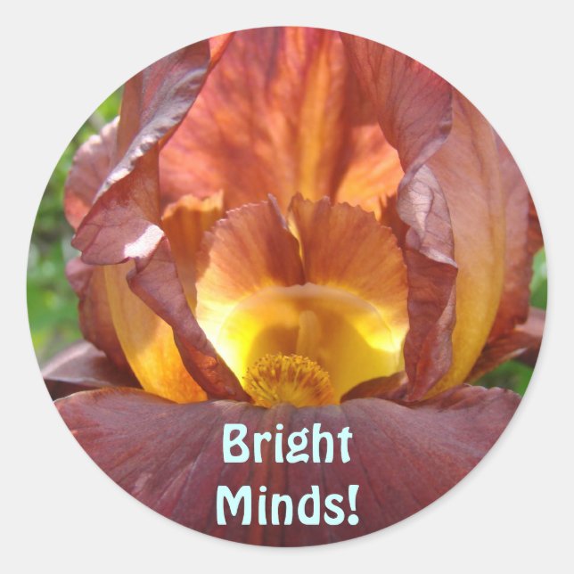Bright Minds! magnets Glowing Iris Flower Students Classic Round Sticker (Front)