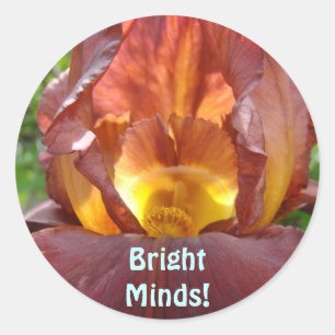 Bright Minds! magnets Glowing Iris Flower Students Classic Round Sticker