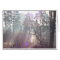 Bright morning sunlight through Mist Blank Card