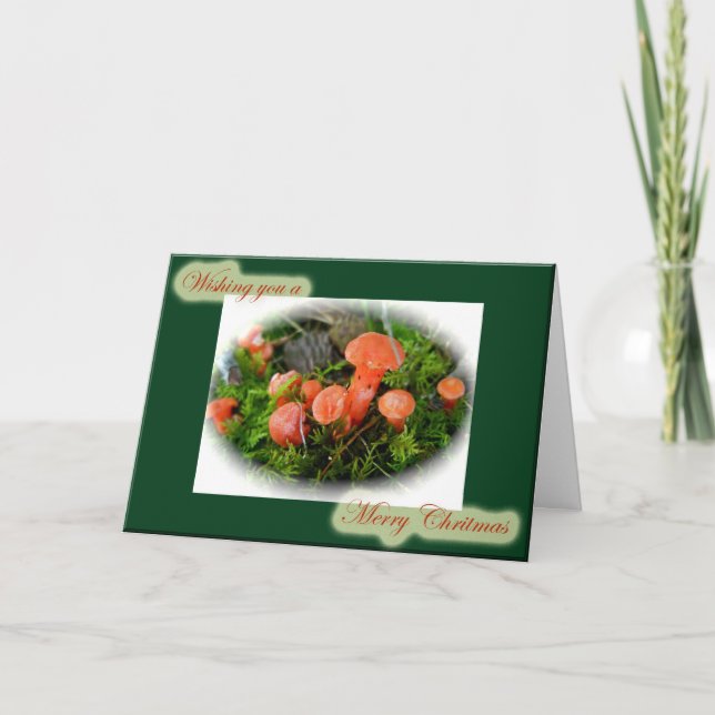 Bright Mushrooms Christmas Card (Front)