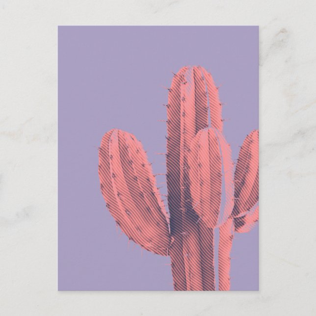 Bright Neon Pink Purple Cactus Succulent Photo Postcard (Front)