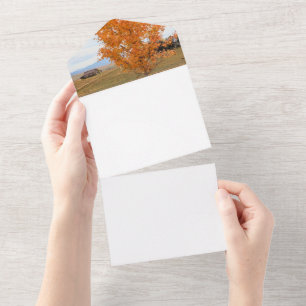 Bright October All In One Invitation