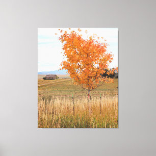 Bright October Canvas Print