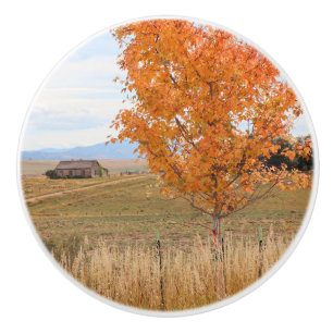 Bright October Ceramic Knob