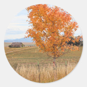 Bright October  Classic Round Sticker