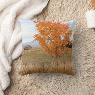 Bright October Cushion