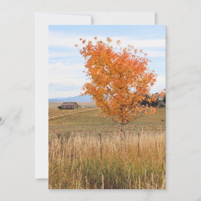 Bright October  Invitation (Front)