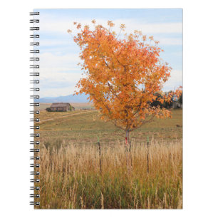 Bright October  Notebook