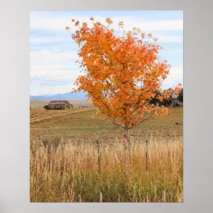 Bright October Poster
