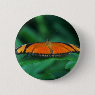 Bright Orange and Black Butterfly on Leaf 6 Cm Round Badge