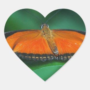 Bright Orange and Black Butterfly on Leaf Heart Sticker