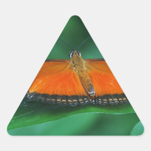 Bright Orange and Black Butterfly on Leaf Triangle Sticker