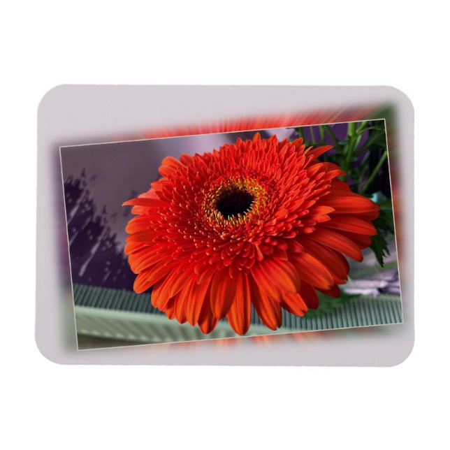 Bright orange blossom magnet (Horizontal)
