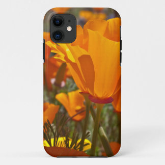 Bright orange california poppies iPhone 11 case