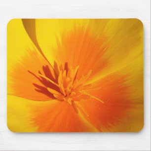 Bright Orange California Poppy Centre With Stamens Mouse Mat