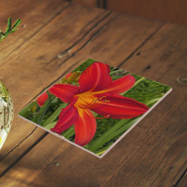 Bright Orange Daylily Bloom Floral Tile (In Situ)