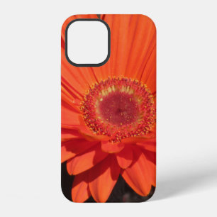 Bright Orange Gerbera Daisy Flower Photo iPhone 12 Case