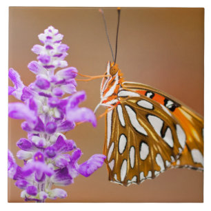 Bright Orange Gulf Fritillary Butterfly Tile
