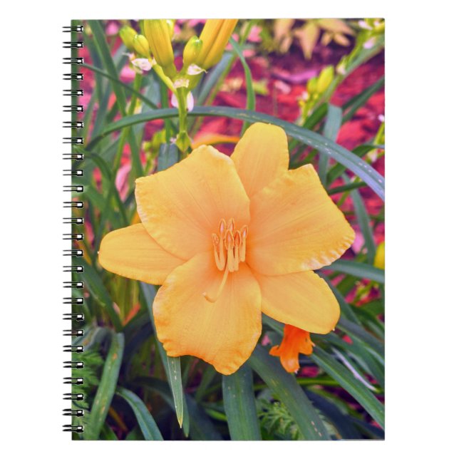 Bright orange Lily Notebook (Front)