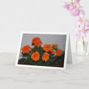 Bright Orange Marigold Flower Portrait Card