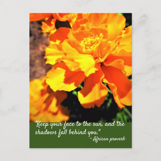 Bright Orange Marigolds Flowers Inspiring Quote Postcard (Front)