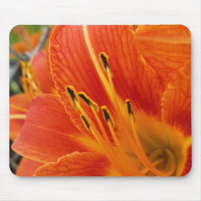 bright orange mouse mat (Front)