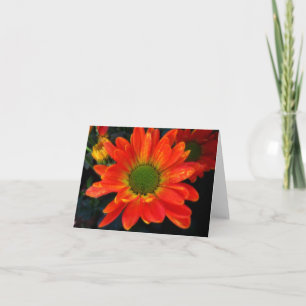 Bright Orange Mums Note Card