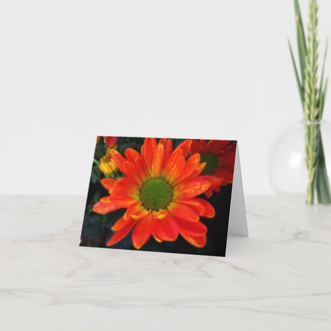 Bright Orange Mums Note Card (Front)