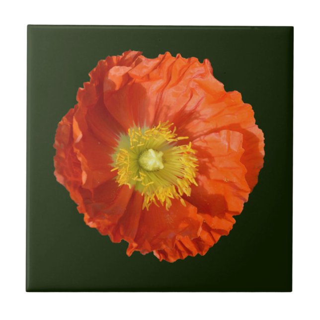 Bright Orange Poppy Flower Tile (Front)