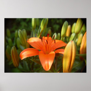 bright orange poster