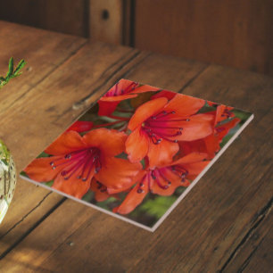 Bright Orange Rhododendron Blooms Floral Tile