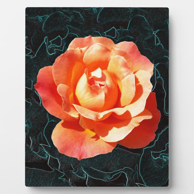 Bright orange rose plaque (Front)