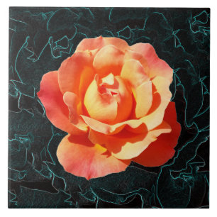 Bright orange rose tile