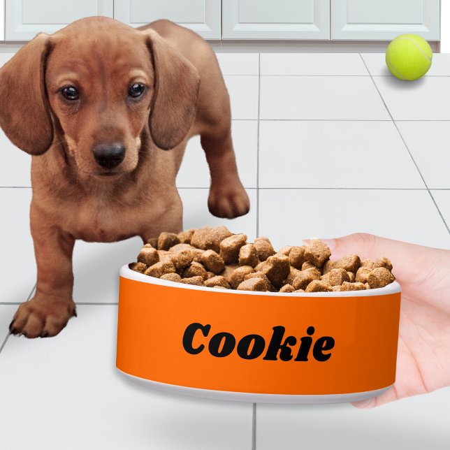 Bright Orange Stylish Modern Personalised Pet Dog Bowl (An orange dog bowl, single color with white trim, personalized with your pet's name in a modern font)