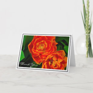 Bright Orange Tulips Against Green Foliage Card