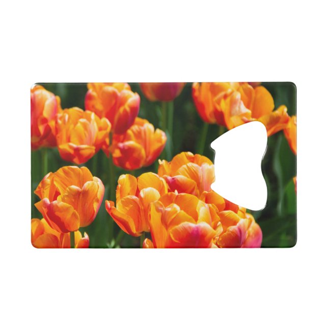 Bright orange tulips in the park  (Front (Horizontal))