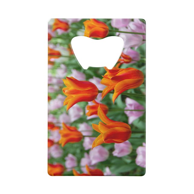 Bright orange tulips in the park (Front)