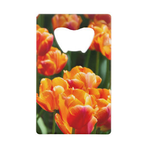 Bright orange tulips in the park