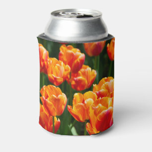 Bright orange tulips in the park   can cooler