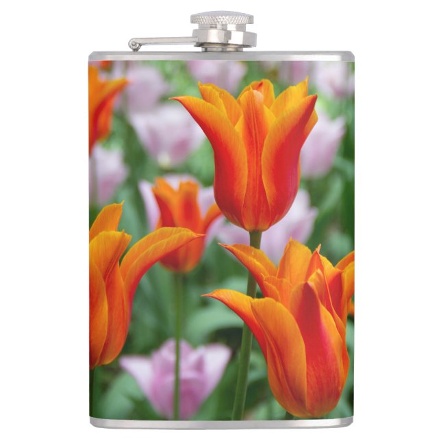 Bright orange tulips in the park     hip flask (Front)