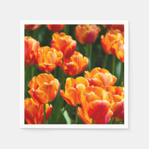 Bright orange tulips in the park   napkin